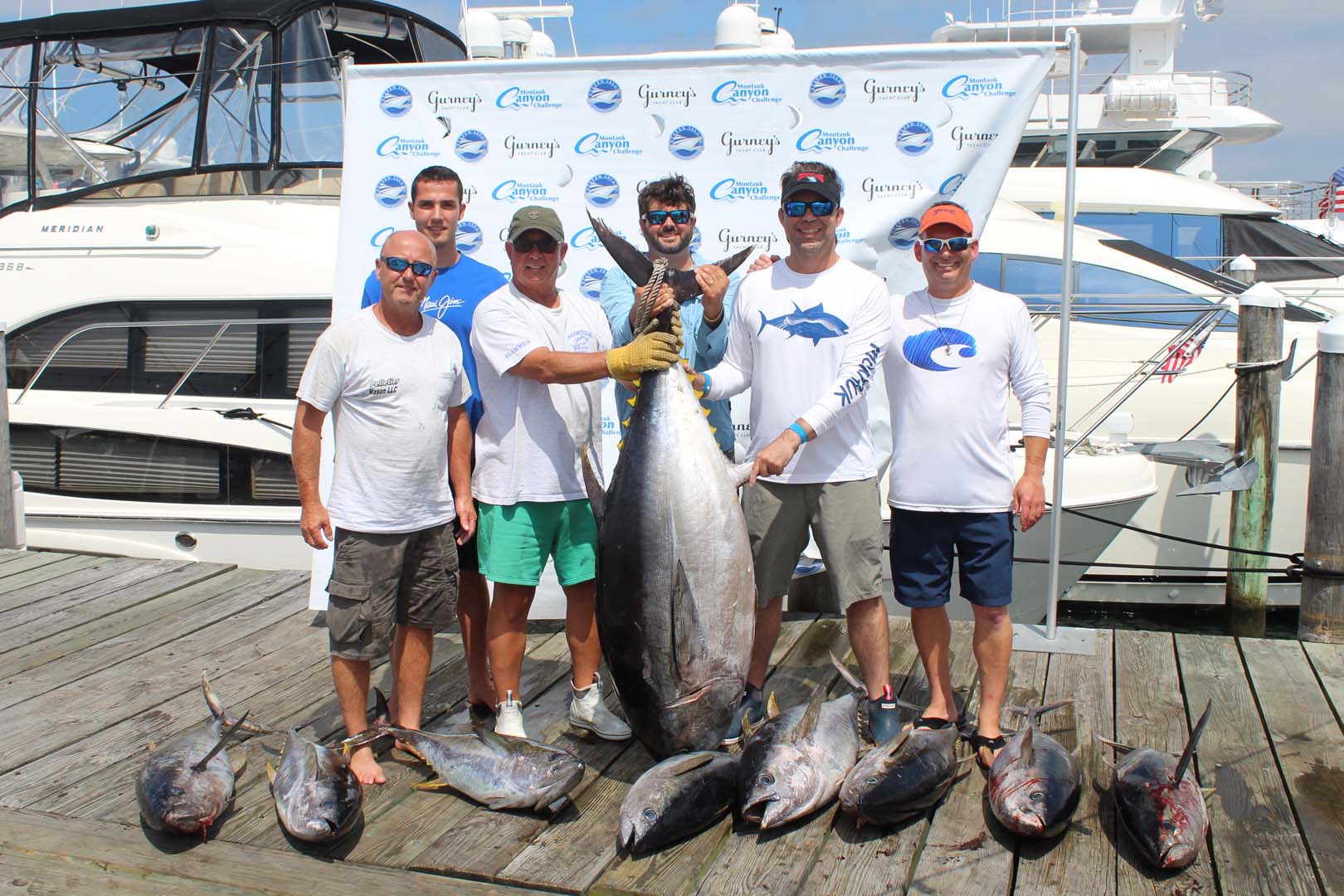 Viking Yachts 48 sound Wave