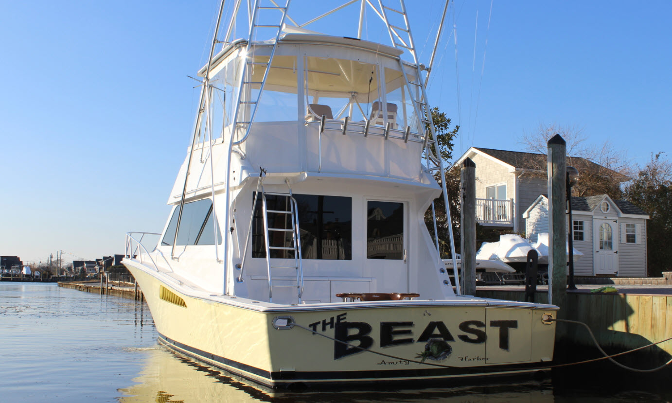 viking 43 The Beast