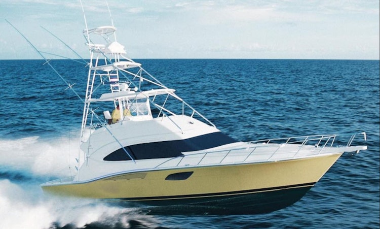 bertram 511