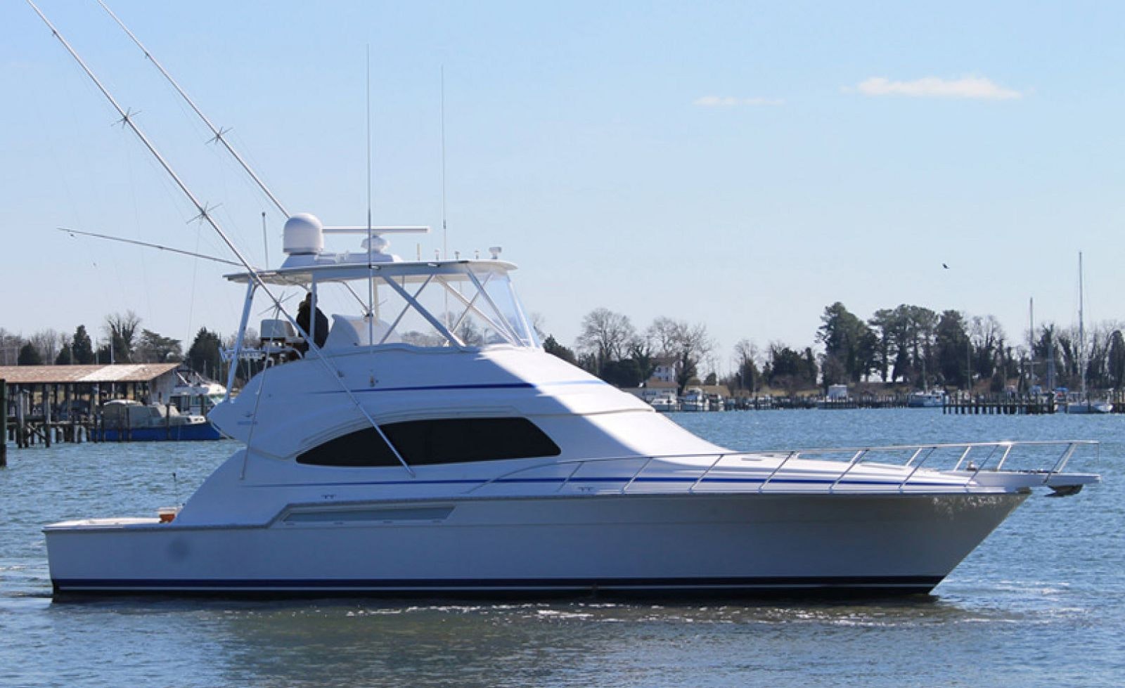 Bertram 510