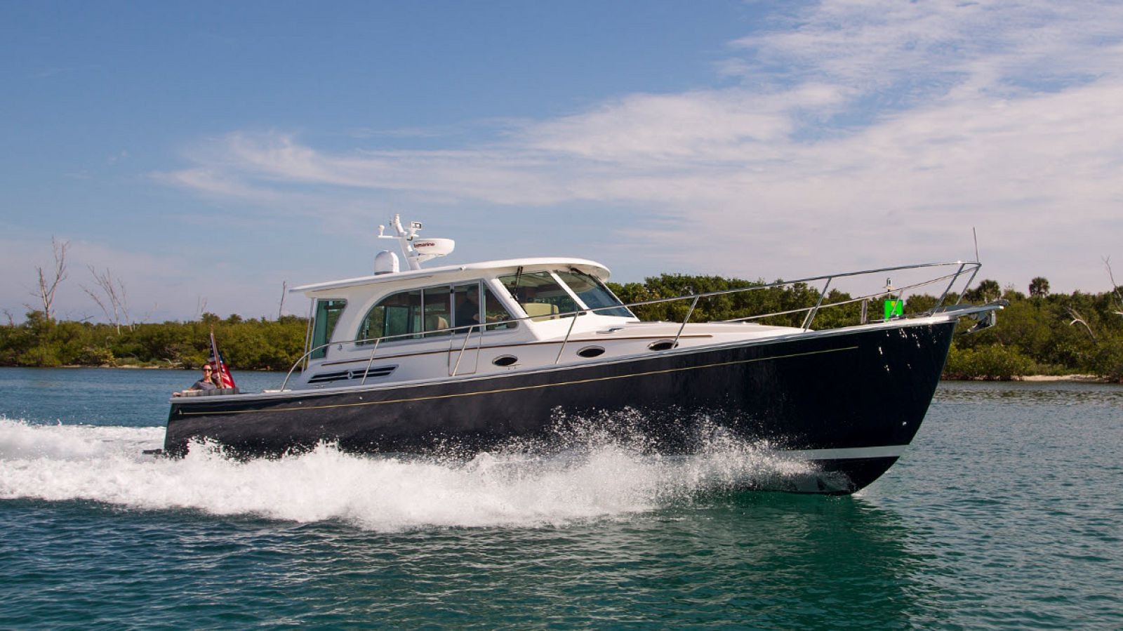 back cove 41