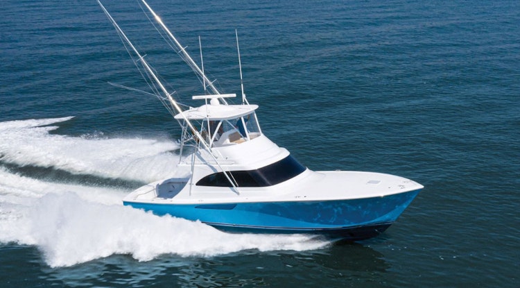 46 billfish cruising at full speed