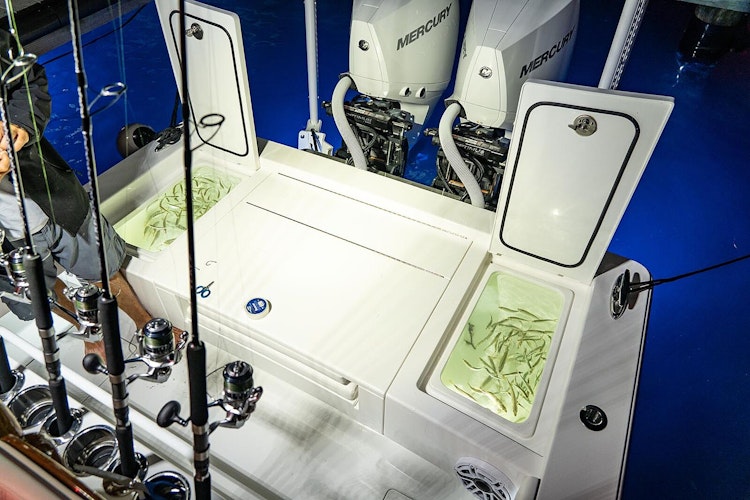 live bait in livewells of the valhalla v28