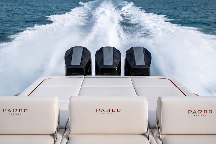 Pardo 43R