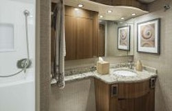 Viking 55 Convertible Head and Stall Shower