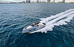 Pardo 43R