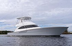 grey hull viking 50