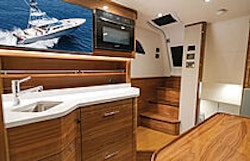 television and microwave in valhalla v55 interior