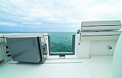 side door open in cockpit - v55