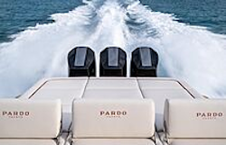 Pardo 43R